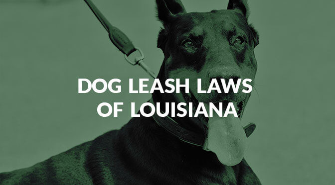 Louisiana's dog leash laws