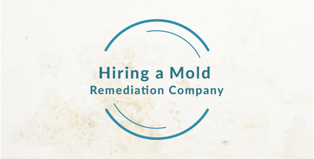 Hiring a professional mold remediation company