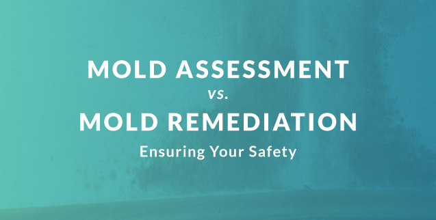 Mold assessment vs. mold remediation